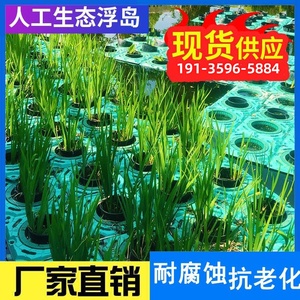 人工生态浮岛生物浮床水生植物种植水面绿化鱼稻共生造景水上景观