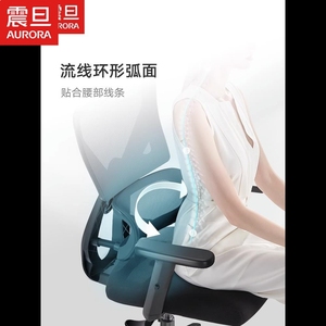 震旦P5双背 人体工学椅电脑椅家用舒适久坐办公椅椅子电竞座椅