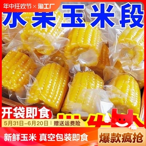 水果玉米段2024玉米棒20段新鲜真空包装开袋即食粗粮零食甜玉米