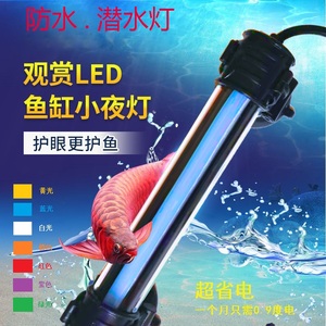 LED鱼缸小夜灯迷你新型霓虹龙鱼灯白光蓝光水草水族箱观赏灯包邮