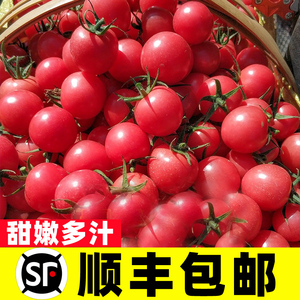 圣女果5斤新鲜水果柿子自然熟西红柿生吃樱桃千禧小番茄蔬菜包邮
