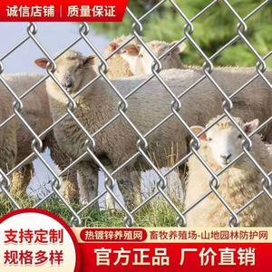 镀锌铁丝网围栏防护网勾花网钢丝网养殖牛羊猪拦网果园栅栏护栏网