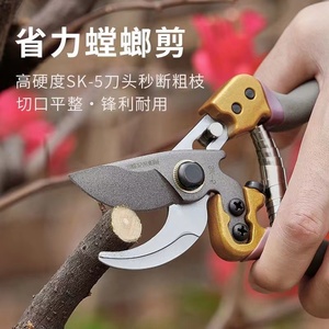 德国钢SK5修剪树枝专用剪子强力果树修剪新款粗枝剪省力园艺剪刀