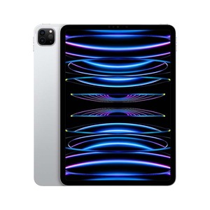 Apple/苹果 iPad pro 11英寸国行原装正品苹果 平板电脑