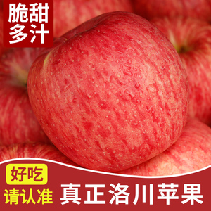 正宗洛川苹果陕西特产新鲜红富士平果冰糖心脆甜当季新鲜孕妇水果