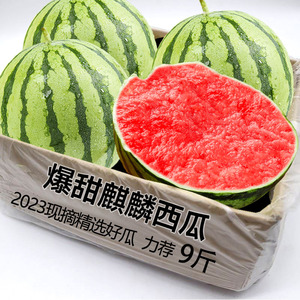 麒麟西瓜新鲜水果应当季现摘红瓤熟起沙薄皮有籽甜瓜2k爆甜10斤