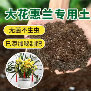 种兰花专用土大花惠兰营养土兰草肥料疏松透气种植土君子兰盆栽土