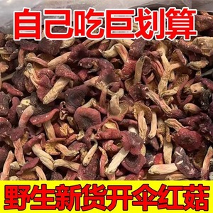 云南野生正宗大红菇干货蓝底正红菇月子无添加红菇500g