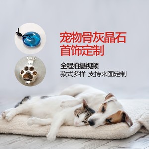 宠物狗猫骨灰晶石离世纪念品毛发平安扣爪印项链手链戒指饰品定制