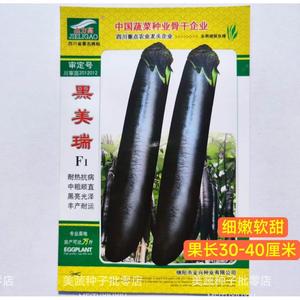 黑美瑞黑长茄子种子黑亮型长棒茄品种细嫩软香杂交高产抗病春秋播