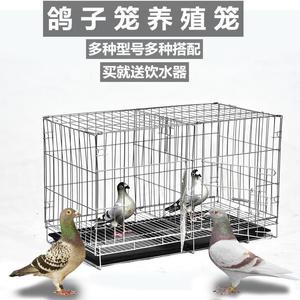 鸽子笼专用网铁丝养殖笼室外鹦鹉鸟笼子特大号组装用具用品大全