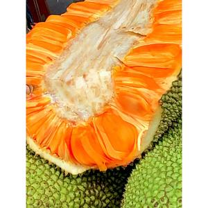 越南进口红肉菠萝蜜6-18斤一整个红心波罗蜜当季新鲜水果整箱包邮