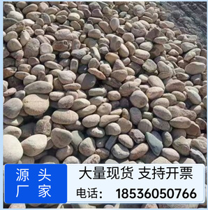浙江天然黄色鹅卵石河滩石围边装饰水冲式日式景观铺路河卵石