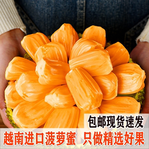 正宗越南进口菠萝蜜一整个红肉黄肉波罗蜜当季新鲜水果整箱包邮