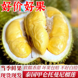 泰国甲仑托曼尼榴莲新鲜液氮猫山榴莲王树熟进口水果带壳一整个箱