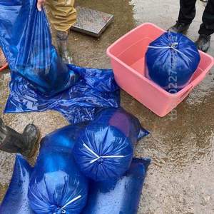 海鲜运输活鱼_鱼苗袋袋装水产塑料袋打包市场蓝色大号加氧气充氧