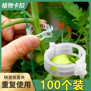 植物蔬菜卡扣固定器夹吊放器瓜果西红柿植物夹塑料绑蔓夹番茄环扣