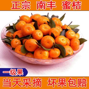 江西南丰蜜桔3新鲜水果桔子5斤蜜橘甜橘子非沙糖桔