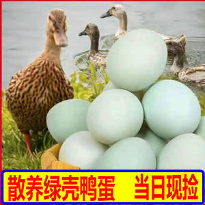 农家土鸭蛋新鲜绿壳麻鸭散养新鲜鸭蛋湖区特产60-70g每枚生鸭蛋