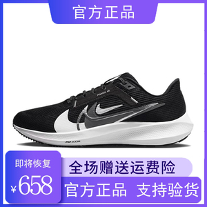 Nike耐克女鞋 Pegasus 40飞马男鞋 缓震耐磨休闲运动跑步鞋FB7179