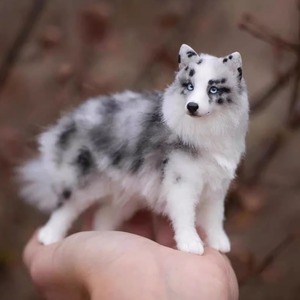 陨石边牧幼犬纯种边牧犬黑白色活体宠物狗红棕色边境牧羊犬幼崽