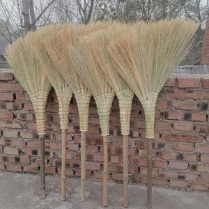 金丝草扫把金丝苗新款竹竿加宽加厚高粱扫把笤帚家用室内院子清扫