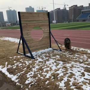 训犬器材警犬户外大型障碍训练器材金属跳圈跨栏三四级跳训犬用品