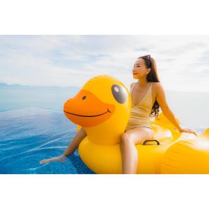 超大充气黄鸭坐骑漂浮游泳圈白天鹅水上气垫红鹤浮排浮床拍照道具