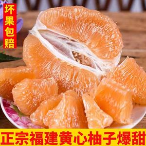 现摘新鲜福建黄心柚子黄肉蜜柚10斤当季水果甜琯溪柚子黄金柚