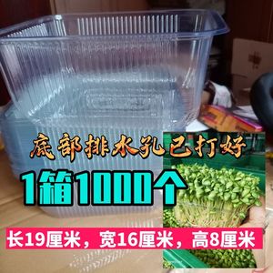 芽苗菜黑豆黄豆苗种植盒一次性塑料吸塑盒