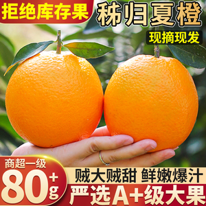 秭归夏橙20斤新鲜橙子大果应季甜橙香橙手剥脐橙水果整箱包邮10褚