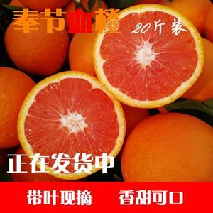 重庆奉节血橙红橙香橙口感独特香甜现摘带叶新鲜水果橙子10斤20斤