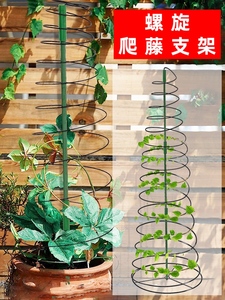爬藤植物固定支架可伸缩调节藤蔓山乌龟铁艺铁线莲户外螺旋支撑架