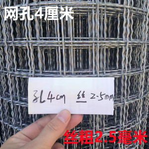 广东围栏钢丝网镀锌铁丝篮球场漏粪网防护圈米高护栏网护坡体育