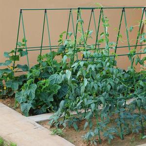 菜园黄瓜爬藤架豆角架杆蔬菜西红柿架搭棚子架植物支撑杆包塑钢管