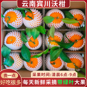 云南宾川沃柑新鲜水果当季整箱10斤柑桔橘子一级纯甜果园应季包邮
