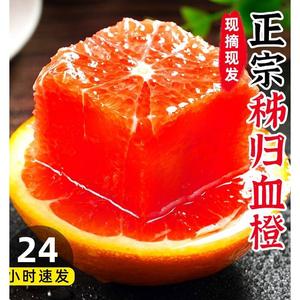 江西赣南血橙橙子新鲜水果当季整箱5斤正宗大果赣州红甜橙10果冻9