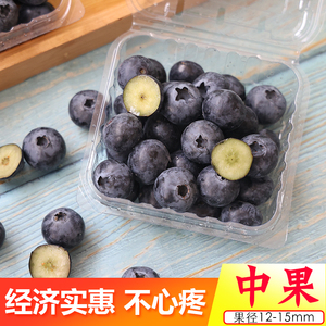 中果蓝莓每盒100克共10盒新鲜包赔鲜果现摘宝宝辅食孕妇水果脆甜