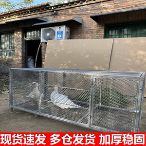 结实鸽子笼鸭笼耐用牢固承重防蛇鼠鸡笼兔笼加密型黄鼠狼养殖笼