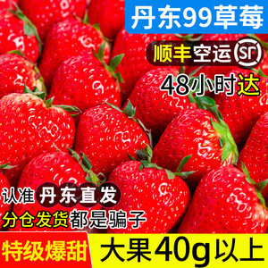 丹东99草莓红颜特级大果5斤水果新鲜应当季整箱孕妇牛奶礼盒顺丰