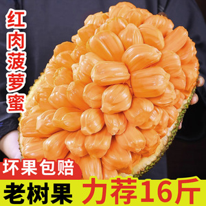 海南干苞泰八菠萝蜜一整个非越南红肉波罗蜜当季新鲜水果包邮整箱