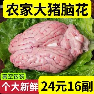 猪脑冷冻16盒新鲜猪脑子小脑脑花左右脑生髓火锅烧烤食材食品商用