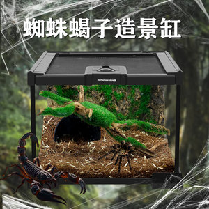 BG蜘蛛饲养箱生态爬虫爬宠饲养缸雨林造景玻璃缸螳螂甲虫昆虫蝎子
