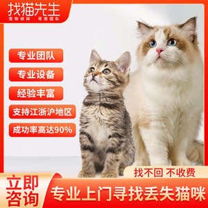 杭州专业找猫团队宠物丢失高效找回宠物救援宠物侦探猫丢了怎么找