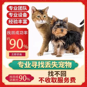宠物侦探上海寻找宠物搜救浙江找猫全国一二线城市寻猫找狗服务