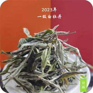 【清露.白牡丹】福鼎白茶2023年一级牡丹  散茶  毫香花香