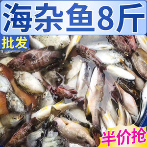 【安心购】海杂鱼新鲜深海鱼大杂烩海鲜水产黄鱼鲳鱼顺丰包邮