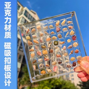 贝壳收纳盒亚克力正方形透明海边微型石头标本磁力相框展示收藏