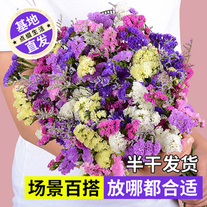 勿忘我干鲜花天然风干真花云南干花花束客厅摆设轻奢高级感长枝