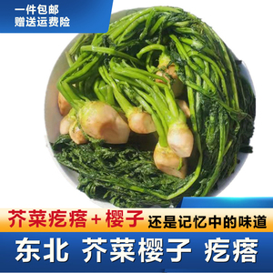 芥菜樱子咸菜东北